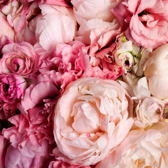 Meet your Posher, Laura - Picture 1 of 1